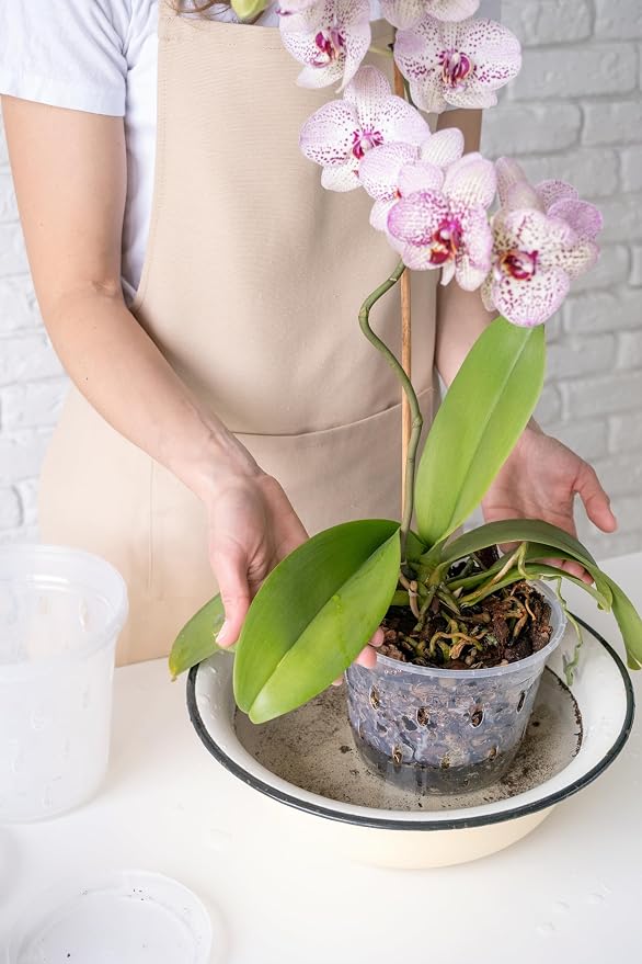 Sun Bulb 50240 Better Gro Dendrobium Mix, 8 Quart, Natural|Browns