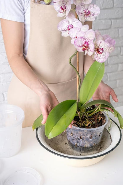 Sun Bulb 50240 Better Gro Dendrobium Mix, 8 Quart, Natural|Browns