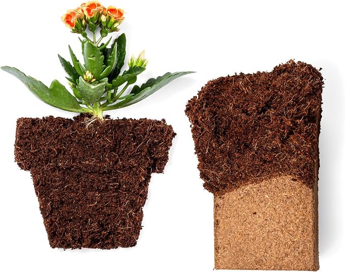 Coco Coir 650gm Bricks (10-Pack) - Organic Coco Coir for Plants - OMRI-Listed Cocopeat Bricks for Garden Soil & Potting Mixes - Coconut Fiber Mixes with Potting Soil for Indoor & Outdoor Plants