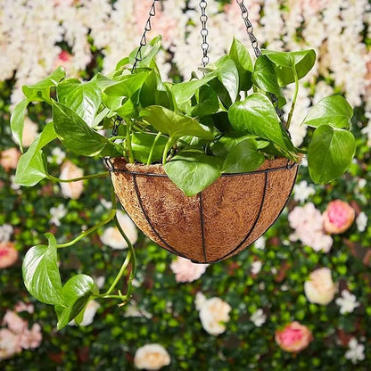 LCHUANG Hanging Baskets Planter for Plants - 4 Pack 14 Inch Metal Baskets with Coco Coir Liner, Hanging Flower Pots for Outside with Chain, Indoor Outdoor Garden Porch Decoration (14'' Pack of 4)
