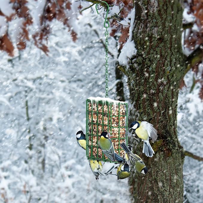 Bird Feeder for Outdoors, Suet Feeder for Outside Hanging Suet Basket Cage | Adjustable Chain Hanging for Garden Yard Outside - Suet Cake Feeders Squirrel Proof birdfeeder