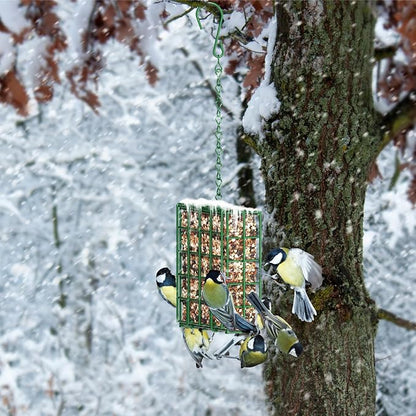 Bird Feeder for Outdoors, Suet Feeder for Outside Hanging Suet Basket Cage | Adjustable Chain Hanging for Garden Yard Outside - Suet Cake Feeders Squirrel Proof birdfeeder