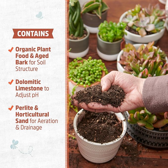 Back to the Roots 100% Organic Succulent & Cacti Mix (Value 12 Quart) | Made in the USA