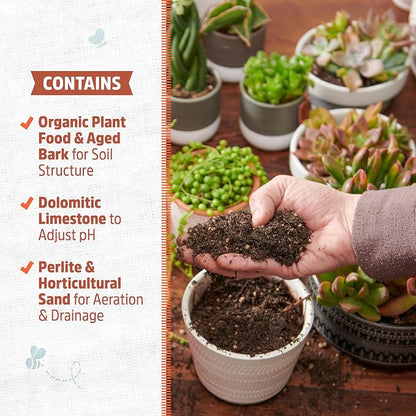 Back to the Roots 100% Organic Succulent & Cacti Mix (6 Quart) | Made in the USA | Premium Nutrition for Indoor and Outdoor Plants