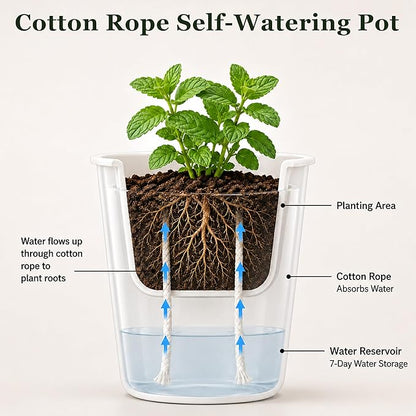 3" Self Watering Pots - 10 Sets Planter Pots for Indoor Plants With Water Level Indicator and Multiple Vents - for House Plants, Flowers, Herbs