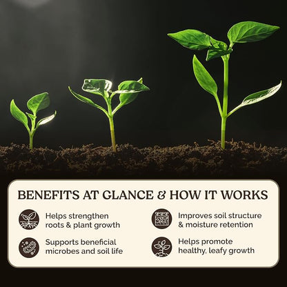 Garden Soil Supplement Mix, Potting Soil Outdoor Plants, Infused with Worm Castings & Vital Blend Activated Charcoal, All-Purpose Potting Soil for Vegetables and Plants, 25 lb Box
