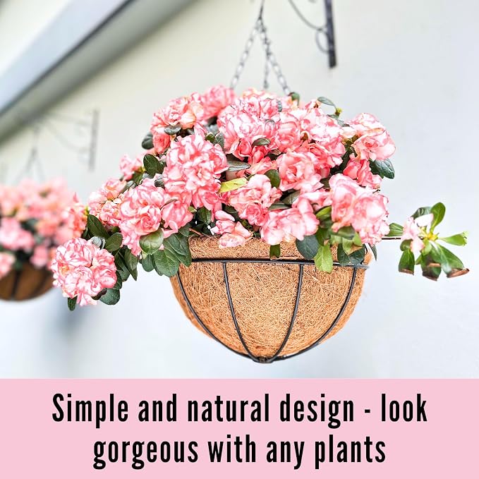 LaLaGreen Hanging Baskets for Plants (10 Pack, 10 Inch) Hanging Planter Outdoor with Coco Liner, Metal Wire Flower Basket Pots Holder Hanger Hook Deck Patio Porch Garden Balcony Outside Decoration