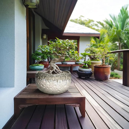 10 Inch Plant Pot - Ceramic Pots for Plants with Drainage Hole and Plug, Unique Flower Pots for Indoor Plants Outdoor, Modern Decorative Flower Pot, Office Decor, Garden Gifts, Beige-Grey