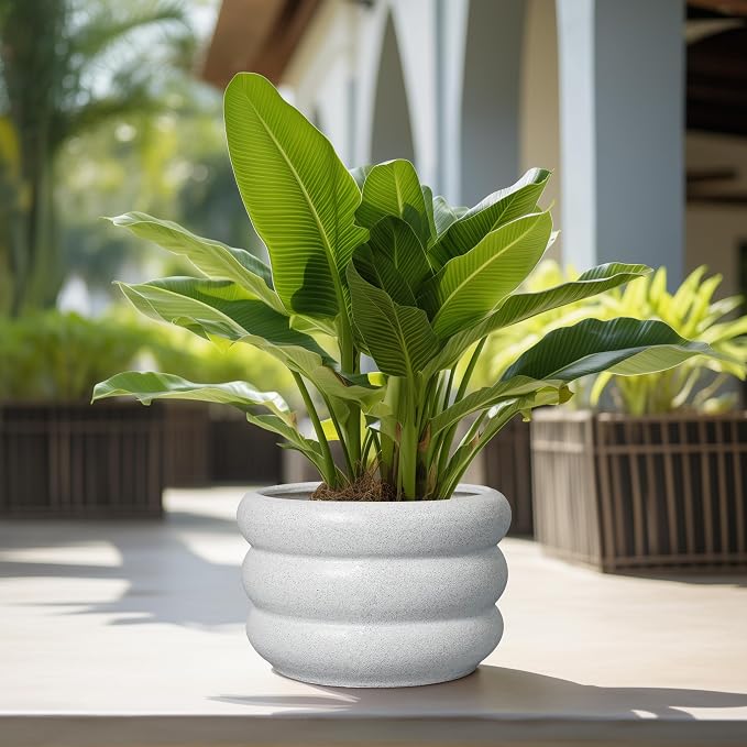 SQOWL Ceramic Planter Pot 13.5 Inch - Plant Pot Indoor with Drainage Hole Large Flower Pot Outdoor Modern Planter House Plant Pot for Office Front Door Porch Decor White