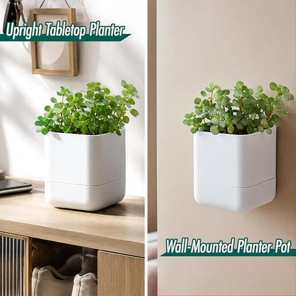 Phoenix Vine 4.5 Inch Wall Mounted Self-Watering Planter Pot for Indoor Houseplants and Herbs | Hanging Planter for Window Sills, Bathroom Walls, Home & Office Décor, White, Set of 1, 01-B-D-1