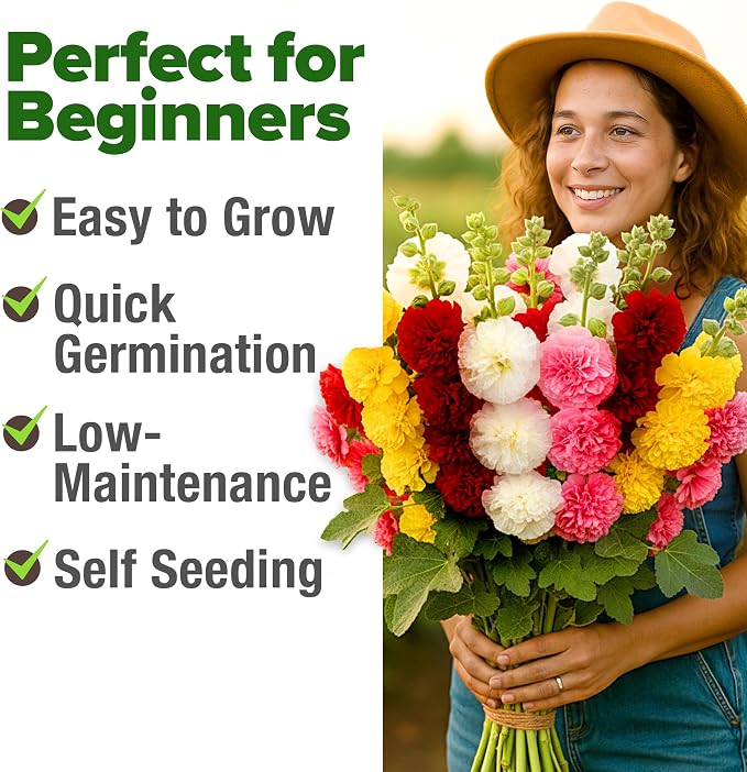 HOME GROWN Hollyhock Summer Carnival Mix Flower Seeds – Alcea Rosea, Premium Annual Flower Seeds, 1000 Seeds for Planting Flowers, High-Germination Flower Seed Bulk Pack