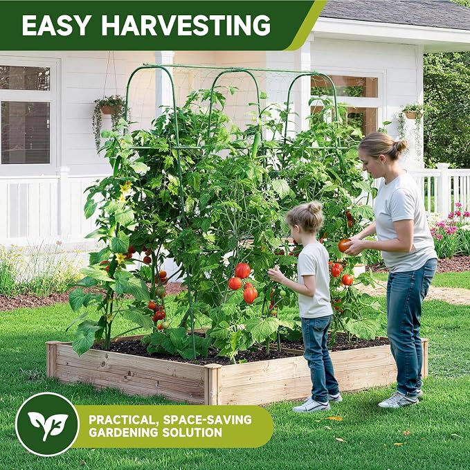 HIRALIY Cucumber Trellis for Climbing Plants Outdoor, 5.25ft Tall Heavy Duty Metal Garden Arch Trellis, Rustproof Plant Support Tunnel for Tomato, Grape, Bean, Raised Bed and Vegetable Gardens, Green
