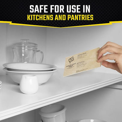 Black Flag Pantry Pest Trap 2 Count, Insect Traps, Safe for Use in Kitchens and Pantries, 3 Pack