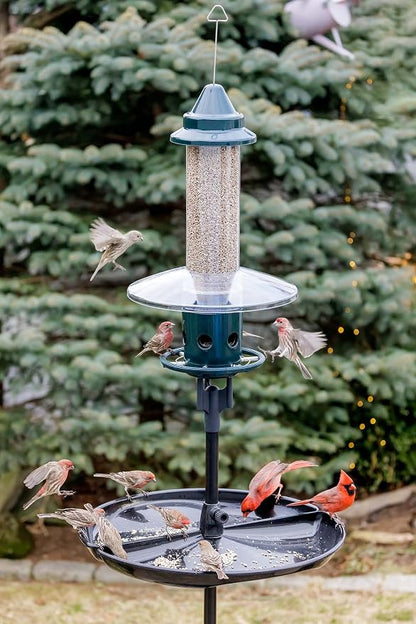Squirrel Buster Plus Squirrel-proof Bird Feeder w/Cardinal Ring and 6 Feeding Ports, 5.1-pound Seed Capacity, Adjustable, Pole-mountable (POLE ADAPTOR SOLD SEPARATELY), Green | Squirrel-Proof Weight-Activated Shroud, Cardinal Ring, 6 Ports, 5.1 Lb Capa...