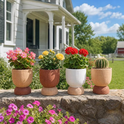 DREAMLOOM 2Pcs Flower Pot with Drainage Holes, 6.4Inch Terracotta & Coarse-Grained Planters for Succulents, Cactus Aloe, Herbs, Orchid, Vintage Color