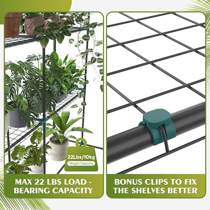NEWBULIG Walk-in Greenhouse 56.3"x56.3"x76.7" Outdoor, Portable Greenhouse Kit with Thick PVC Cover & Roll-Up Zipper Door, Sturdy Steel Frame for Backyard, Patio, Garden, Clear