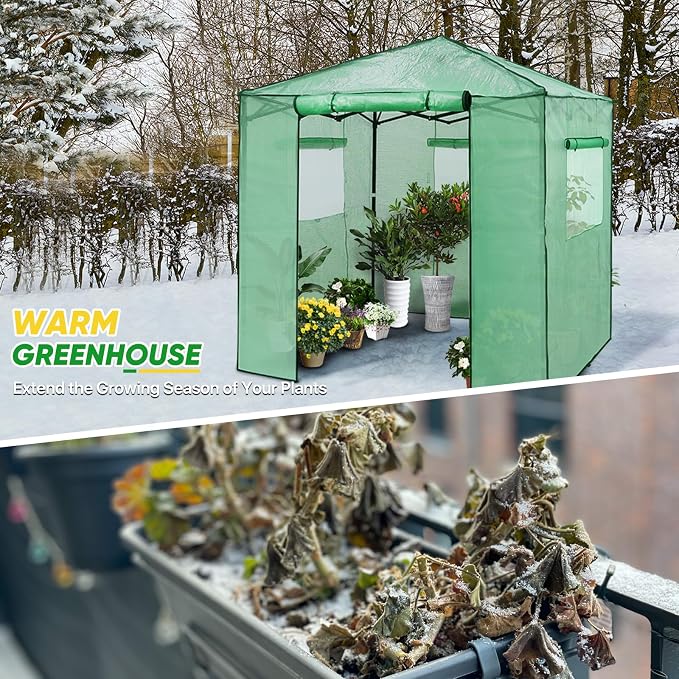 EAGLE PEAK 7x7 Portable Walk in Greenhouse, Pop Up Indoor Outdoor Greenhouse, Green House Kit with Zippered Roll-Up Doors and Windows + Mesh Lining & 2 Foldable Shelves, PE Cover, Clear/Green