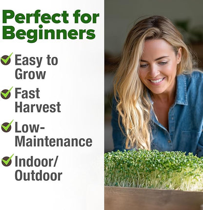 HOME GROWN Broccoli Seeds 8 oz Bulk Heirloom Non-GMO, High Germination, Sulforaphane Rich Sprouting Seeds, Nutritious Microgreens, Healthy Sprouts in 5 Days, Superfood Boost (Brassica oleracea)
