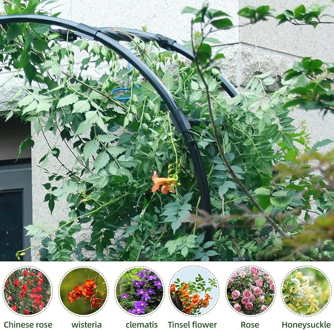 BUKLIYN Half Sided Arch Against The Wall Garden Trellis - Garden Arch Arbor Trellis for Climbing Plants Outdoor - Garden Arch for Home Yard and Garden