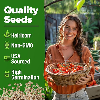HOME GROWN Large Red Cherry Tomato Seeds 500+ Heirloom Non GMO Seeds for Planting, High Germination, Indeterminate, Sweet & Juicy Salad Tomatoes, Prolific Garden Crop, Homestead (Solanum lycopersicum)