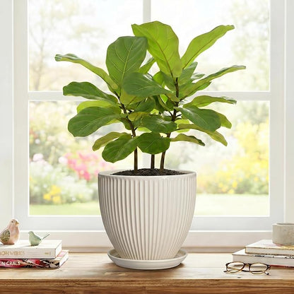 Ceramic Flower Pots, 8 Inch Plant Pot with Drainage Hole and Saucer, Modern Planters for Indoor Plants, Round Indoor Pots for Plants, Office Home Decor, Plant Lover Gifts, Cream White