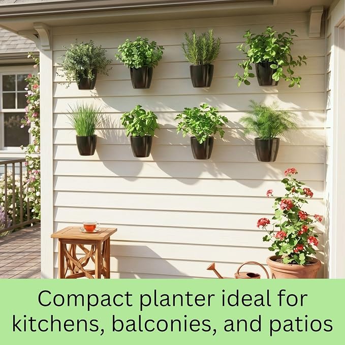 LaLaGreen Indoor Wall Planters (5in, 10 Pack) Self Watering Hanging Pots | Eco Wall Mounted Planter System Living Plant Holder Trendy Live Wall Garden Outdoor for Herb Garden Home Decor