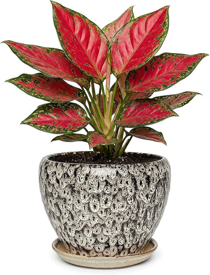 7.5 Inch Ceramic Plant Pot with Drainage Hole Mesh Net,Modern Gardening Pots for Indoor Plants with Saucer, Speckle White