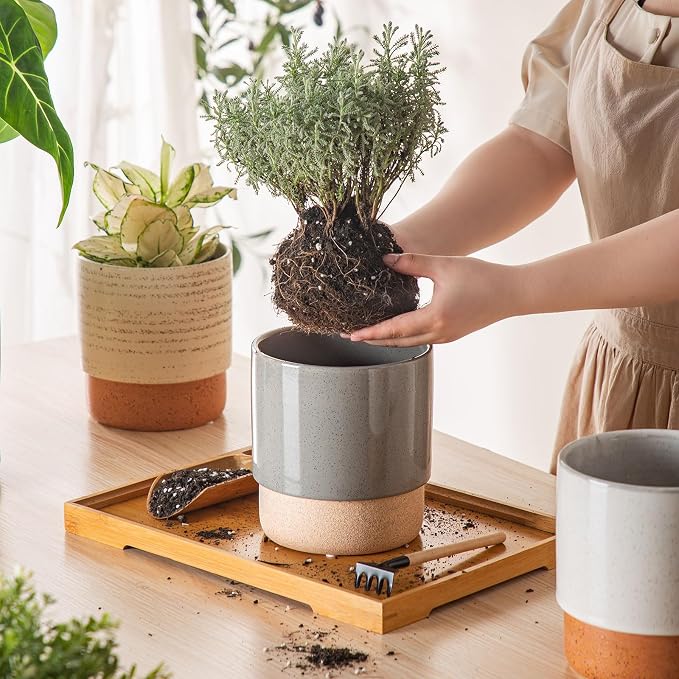6 Inch Ceramic Self Watering Planter with Drainage Hole, Dark Grey | Indoor Plant Pot with Water Storage Plus - for African Violet, Herbs & Pothos - Home & Office Decor, Cylinder Round