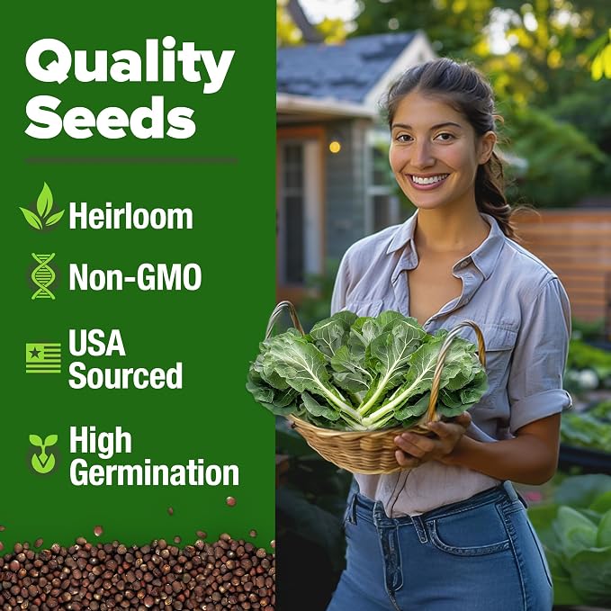 HOME GROWN Vates Collard Green Seeds Bulk Mix | 300+ Heirloom Non-GMO Seed for Fall & Winter Garden Planting | High Germination Frost Tolerant & Slow to Bolt | Nutritious Leafy Greens