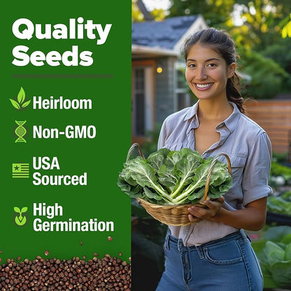HOME GROWN Vates Collard Green Seeds Bulk Mix | 300+ Heirloom Non-GMO Seed for Fall & Winter Garden Planting | High Germination Frost Tolerant & Slow to Bolt | Nutritious Leafy Greens