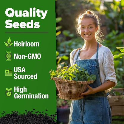 HOME GROWN Non GMO Lemon Balm Seed Pack - 403 Non-GMO USA Heirloom Herbal Tea Seeds - Bulk Lemon Balm Seeds for Planting Gardens Indoors or Outdoors - Herb Seeds (Melissa officinalis)