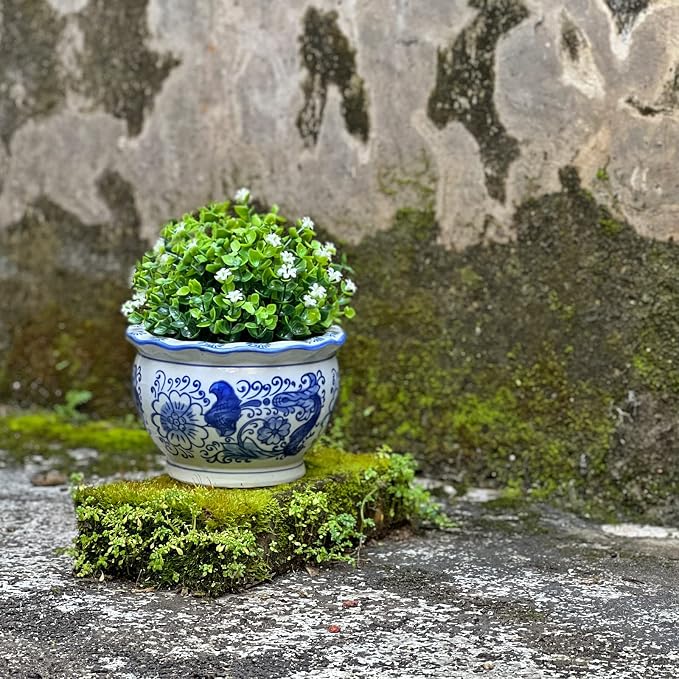 HakkaGirl Blue and White Planters, Succulent Pots Ceramic Plant Pots Indoor with Drainage for Home Décor - Set of 3