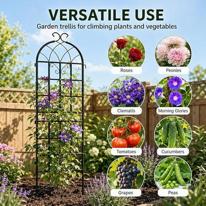 4-Pack 71" Black Metal Garden Trellises with Butterfly Design | Set of 4 black metal trellises with butterfly arch tops, scrollwork, spiked legs, and support for roses, vines, or veggies