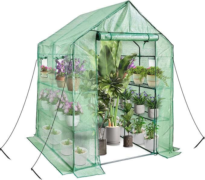 Walk in Greenhouse with Shelves,Plastic Growhouse Frame for Garden,12 Tiers Green House with Reinforced PE Cover and 4 Windows,56" L x 56" W x 77" H,for Indoor Outdoor Seeding and Plant Growing
