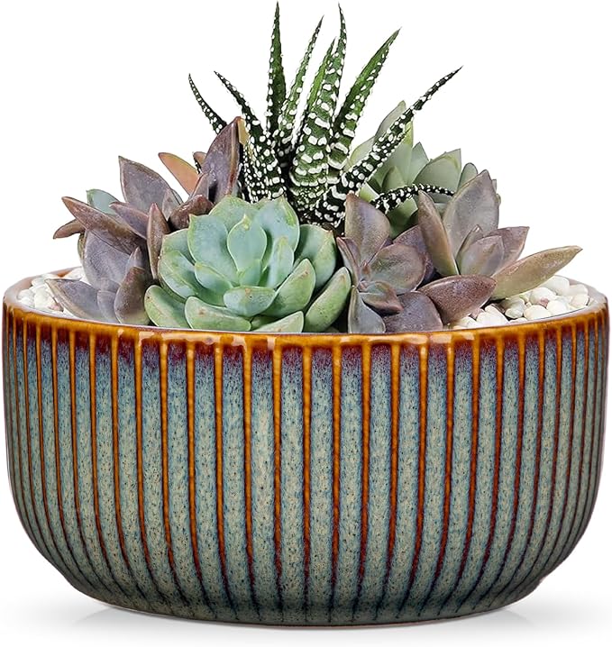 Plant Pots Indoor with Drainage Hole 6 inch Ceramic Plant Pot Sage Green Succulent Pot Small Round Planters for Indoor Outdoor Plants Bonsai Bowl Decorative Flower Pots for Orchid Cactus Snake Plant