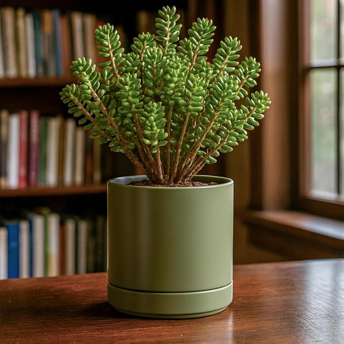 D'vine Dev 6.5 Inch Ceramic Planter Pot, Olive, 94-O-C-J | Modern Cylinder Design, Drainage Hole & Saucer Included, Stable Structure, Elegant Home Accent