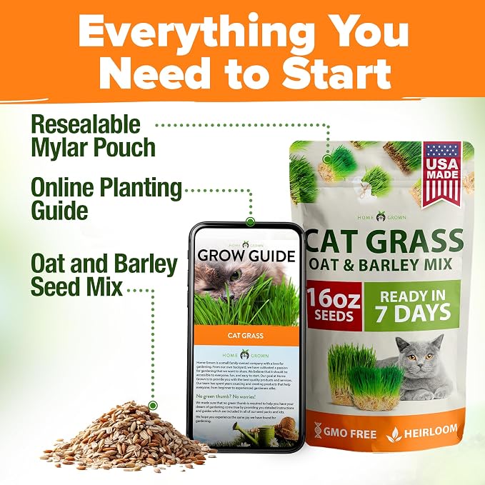 HOME GROWN Non GMO 1 Pound Cat Grass 12,700+ Seeds & Kittens Oat & Barley Mix 100% Heirloom, Grow Fresh Kitty for Chewing, Pet Indoor Garden