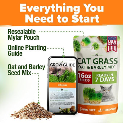 HOME GROWN Non GMO 1 Pound Cat Grass 12,700+ Seeds & Kittens Oat & Barley Mix 100% Heirloom, Grow Fresh Kitty for Chewing, Pet Indoor Garden
