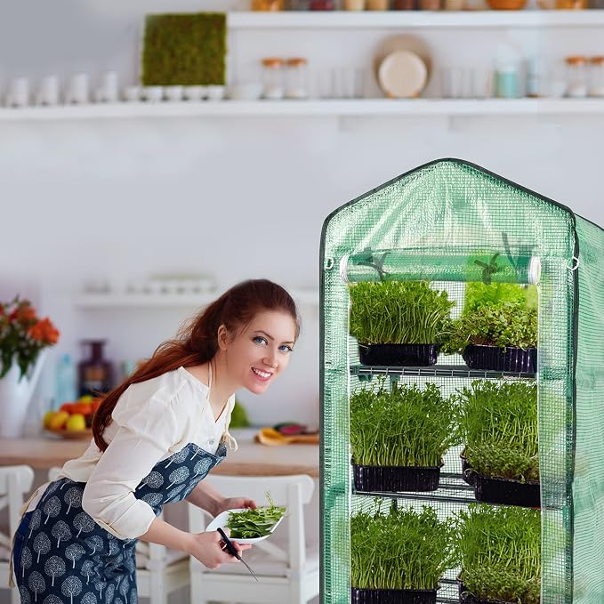 Outvita Mini Greenhouse, Small PE Plant Green House with 4 Tiers Rack, Shelf Clips, Roll-up Zipper Door, Gardening Supplies for Indoor Outdoor Seedling Frost Protection , 27"x19.6"x63" Green