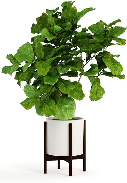 Fox & Fern Bamboo Plant Stand — 11.8 Inch Fixed Size Wooden Mid Century Plant Stand for Indoor Planters (Not Included) - Raised Flower Pot Holder for Indoor Big Pots - Plug In Design - Dark Bamboo
