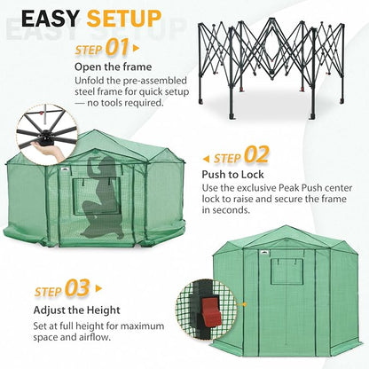 EAGLE PEAK 8.5x8.5 Portable Walk in Greenhouse, Pop Up Indoor Outdoor Greenhouse, Green House Kit with Zippered Roll-Up Doors and Windows, Hexagon Design, PE Cover, Clear/Green