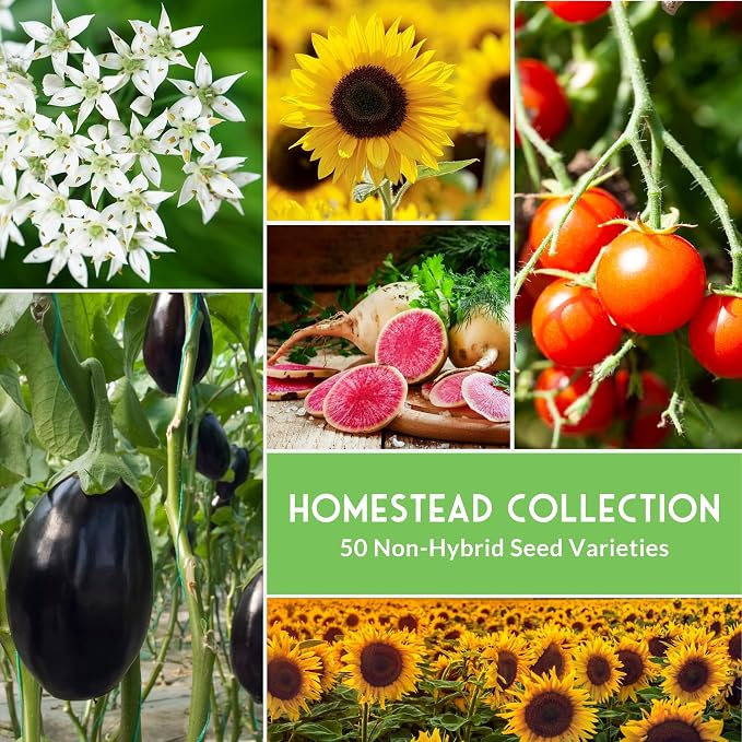 Homesteader 50 Pack Seed Vault for Planting Victory Gardens | Non-GMO Heirloom Vegetable, Fruit, Herb Seeds to Grow Food for Storage, Emergency Preparedness - Survival Garden Seeds