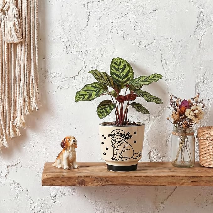 Ceramic Planter 5 Inch Plant Pots Indoor Succulent Plant Pot Cute Flowerpot | Unique Dog Pattern for Home, Garden, Patio and Office Decor