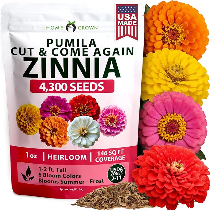 HOME GROWN Zinnia Seeds Mix – 4300 Pumila Compact Zinnia Flower Seeds for Planting Outdoors | Bulk Colorful Annual Cut Flowers for Summer Gardens & Containers (Zinnia elegans)