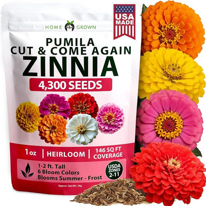 HOME GROWN Zinnia Seeds Mix – 4300 Pumila Compact Zinnia Flower Seeds for Planting Outdoors | Bulk Colorful Annual Cut Flowers for Summer Gardens & Containers (Zinnia elegans)