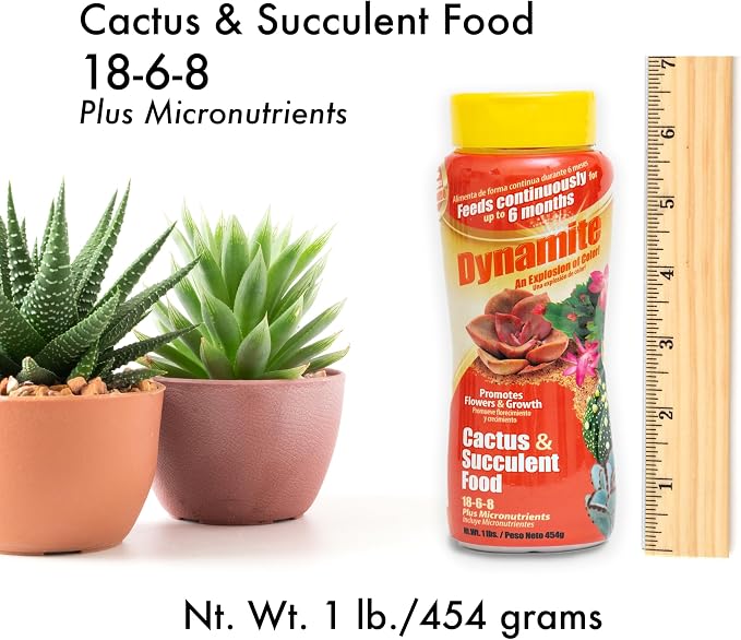 Dynamite Cactus & Succulent Food 18-6-8 - Plant Food for Indoor/Outdoor Cacti & Succulents - Continuous Feeding Up to 6 Months - Promotes Growth & Flowering - Includes Micronutrients