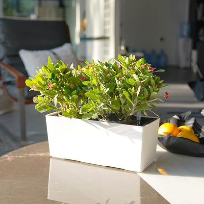 SAROSORA 14" Self Watering Planter Pots with Water Level Indicator, Rectangle Matte Plastic Window Box for Indoor Outdoor, Herbs Succulents Flowers House Plants (White)