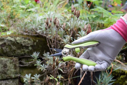 Spear & Jackson 56418G Green Garden Snips