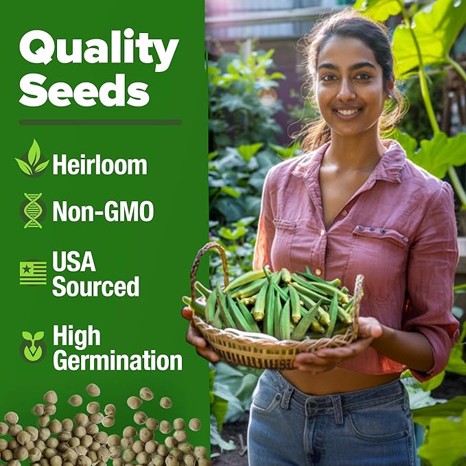 HOME GROWN Clemson Spineless Okra Seeds 101+ Heirloom Non-GMO Vegetable Seeds for Planting, Easy to Grow Summer Garden, High Germination, Heat Tolerant, Tender Green Pods (Abelmoschus esculentus)