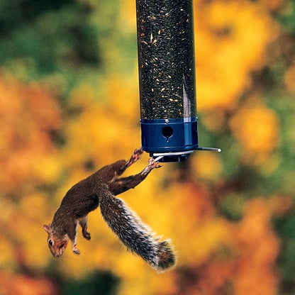 Droll Yankees Whipper Squirrel-Proof Bird Feeder for Outdoors | 5lb Seed Capacity, Weight-Activated Collapsible Perches, Heavy-Duty Metal Construction, Powder-Coated Tube Feeder, YCPW-180-M